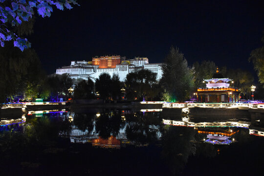 布达拉宫夜景