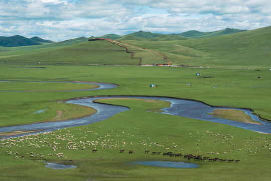草原牧场河流羊群马群