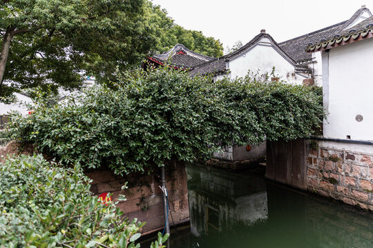 湖州荻港村