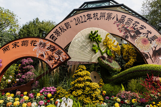 杭州植物园菊花展