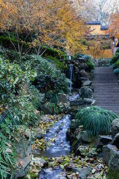 杭州永福寺