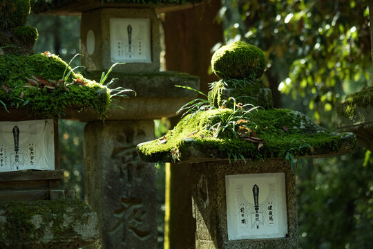 日本寺院