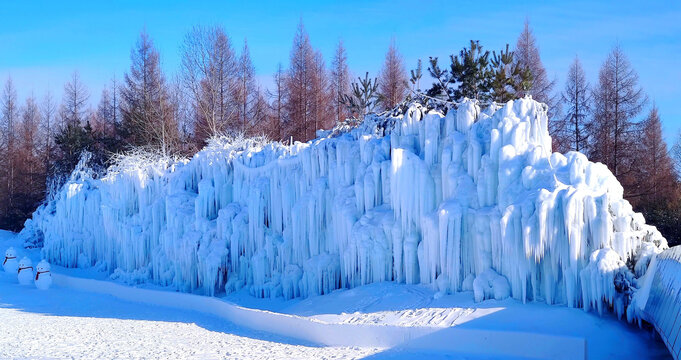 雪兔子