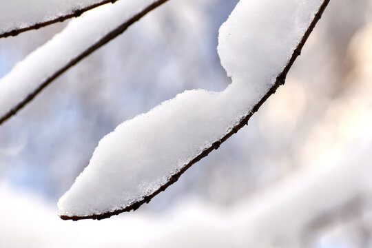 积雪