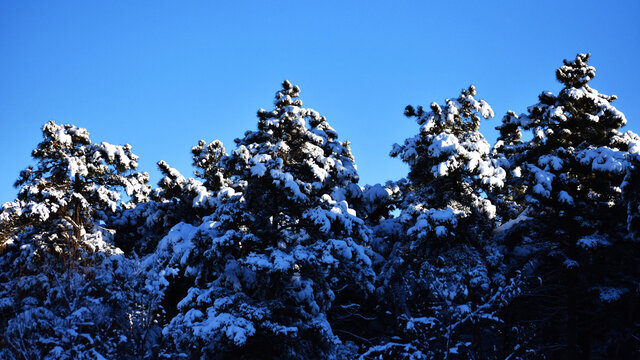 大雪