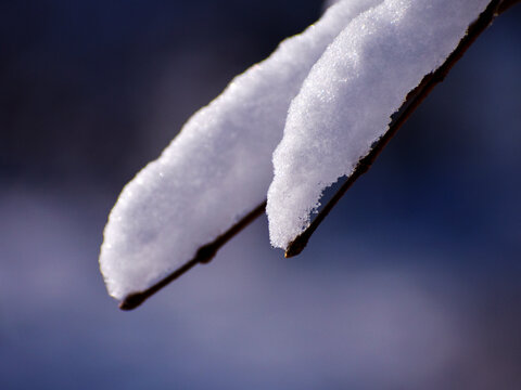 积雪