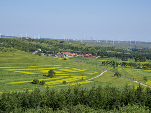 张家口草原天路