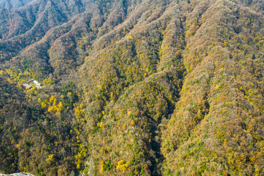 秦岭秋色