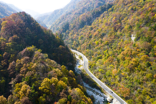 道路