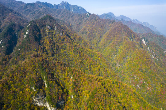 秦岭山秋景