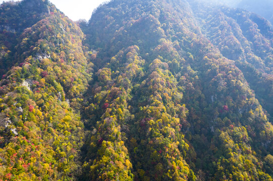 秦岭山脉