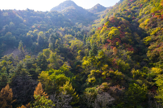 秦岭山