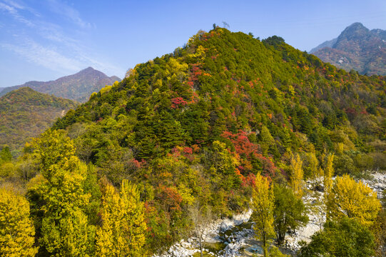 秦岭秋景