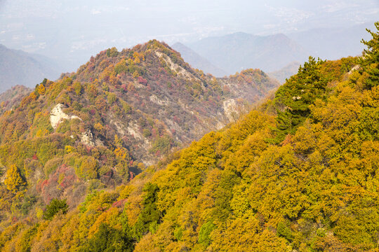 秦岭秋色