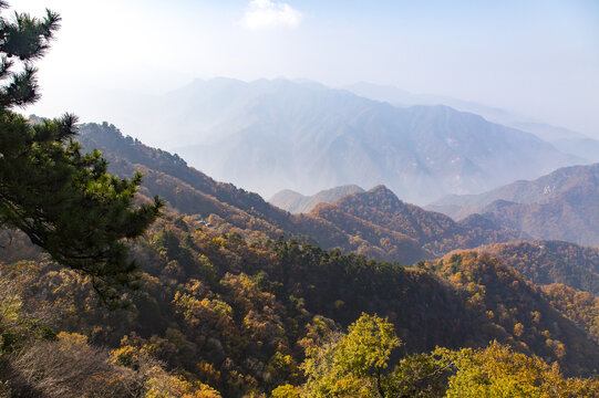 秦岭风光