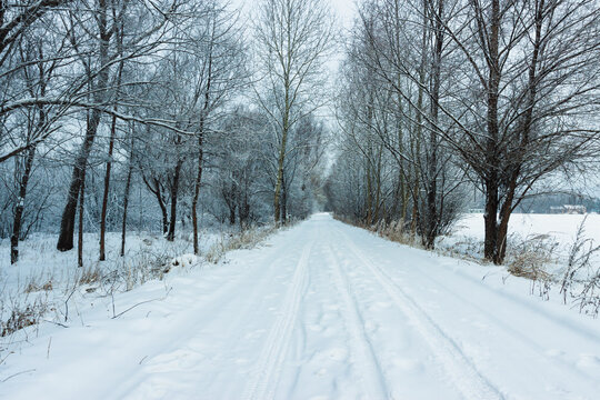 积雪道路车辙