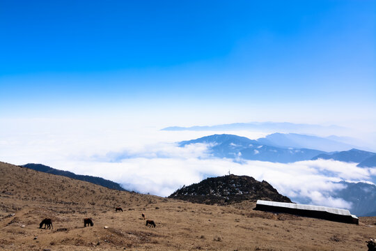 牛背山营地