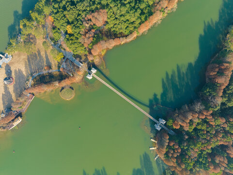 武汉东湖落雁岛风景区深秋风光