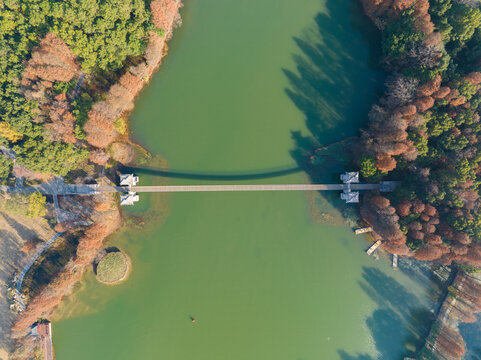 武汉东湖落雁岛风景区深秋风光