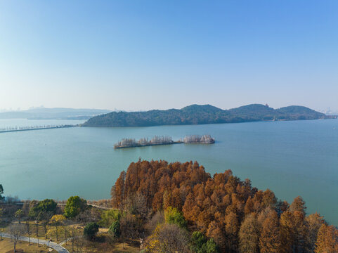 武汉东湖落雁岛风景区深秋风光