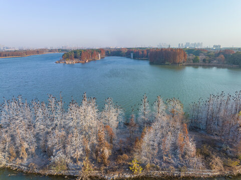 武汉东湖落雁岛风景区深秋风光