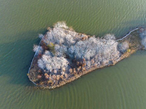 武汉东湖落雁岛风景区深秋风