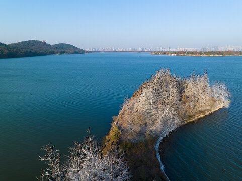 武汉东湖落雁岛风景区深秋风
