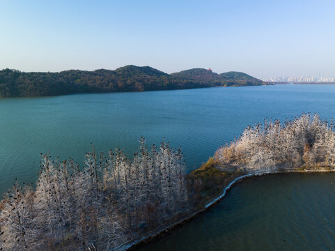 武汉东湖落雁岛风景区深秋风