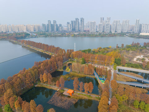 武汉东湖风景区深秋风光