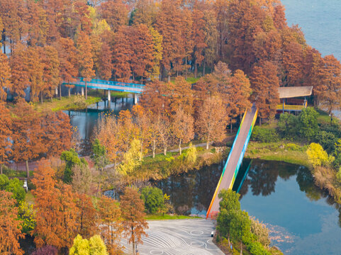 武汉东湖风景区深秋风光