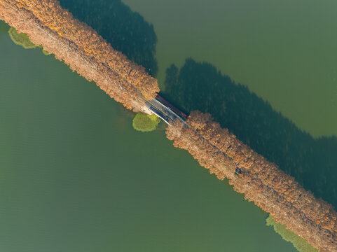 武汉东湖风景区深秋风光
