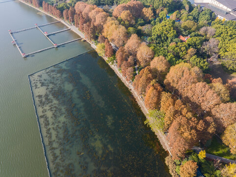 武汉东湖风景区深秋风光