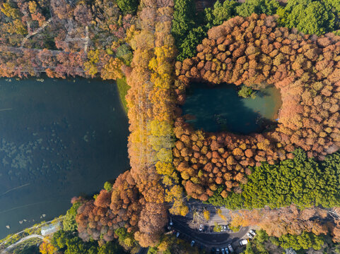 武汉东湖风景区深秋风光