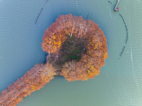 武汉东湖风景区深秋风光