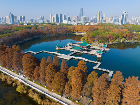 武汉东湖风景区深秋风光