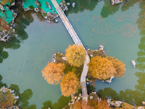 武汉东湖风景区深秋风光