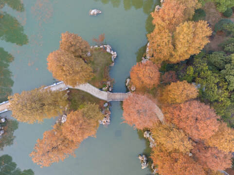 武汉东湖风景区深秋风光