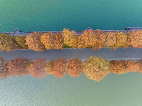 武汉东湖风景区深秋风光