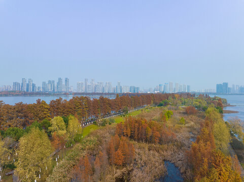 武汉东湖风景区深秋风光