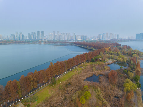 武汉东湖风景区深秋风光