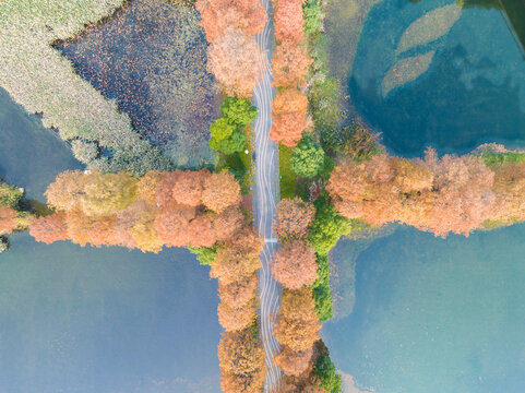 武汉东湖风景区深秋风光