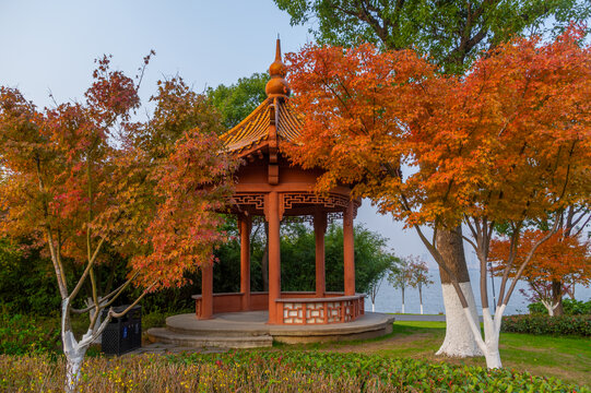 武汉东湖风景区深秋风光