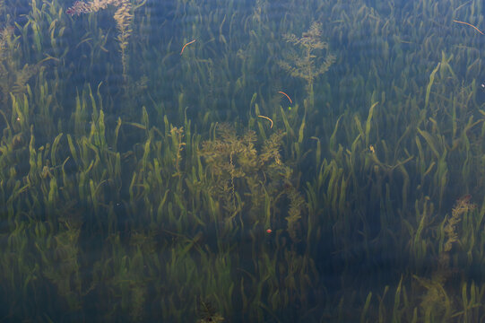 武汉东湖风景区深秋风光