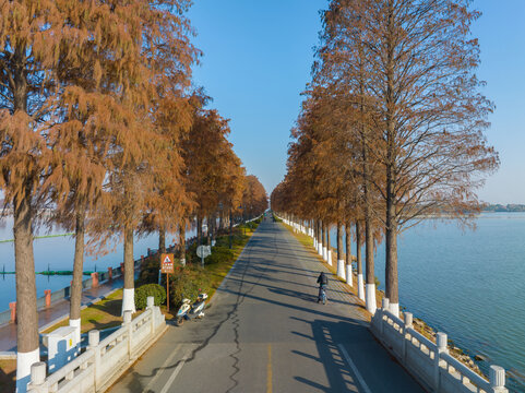 武汉东湖风景区深秋风光