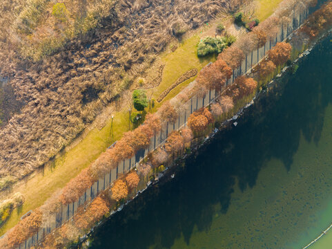 武汉东湖风景区深秋风光