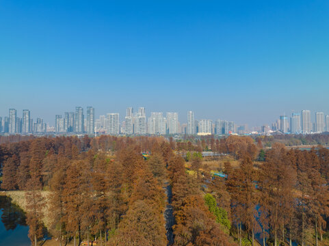武汉东湖风景区深秋风光