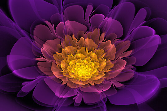 炫彩透明花瓣紫色分形花