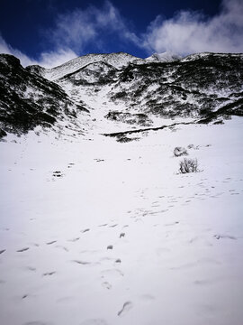 雪山上的足迹