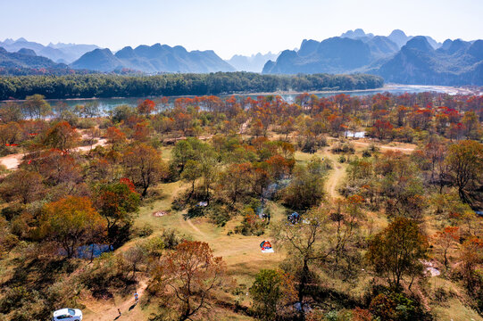 广西桂林竹江乌桕滩景区红叶