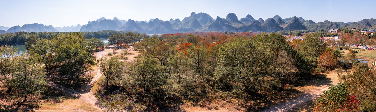 广西桂林竹江乌桕滩景区红叶